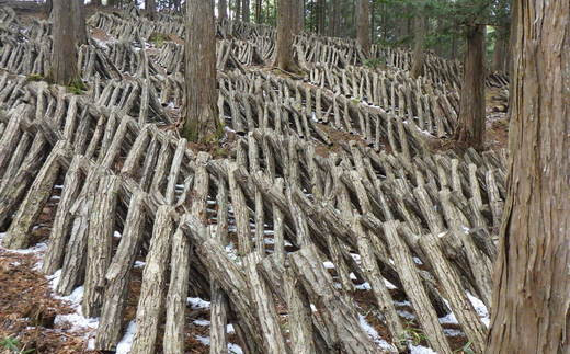 A-105 【原木栽培】国産乾しいたけ 約140ｇ