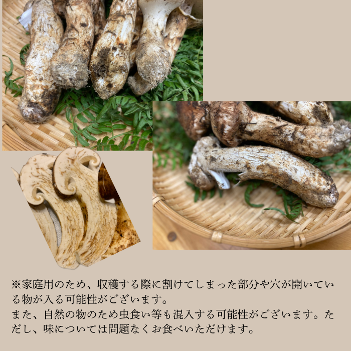 G-3 信州産「松茸」400g ご家庭用 訳あり品 ※2024年発送　なくなり次第終了※