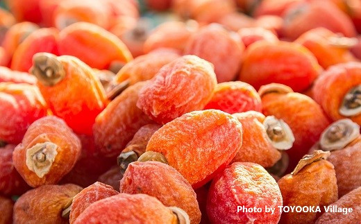 I-10 市田柿 (大粒2Lのみ厳選) 約170g×4パック ※2025年12月発送予定※