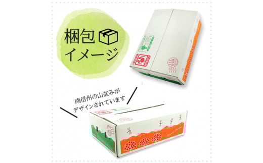 B-11 ＜先行受付＞ ぶどう クイーンルージュ約1.3㎏【2房】※2026年9月中旬～9月下旬発送予定※