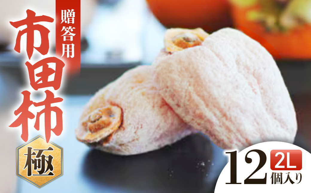 A-110　信州の特産品「市田柿・極」贈答用2Lサイズ（12個入）＜2026年1月上旬～2月下旬発送＞