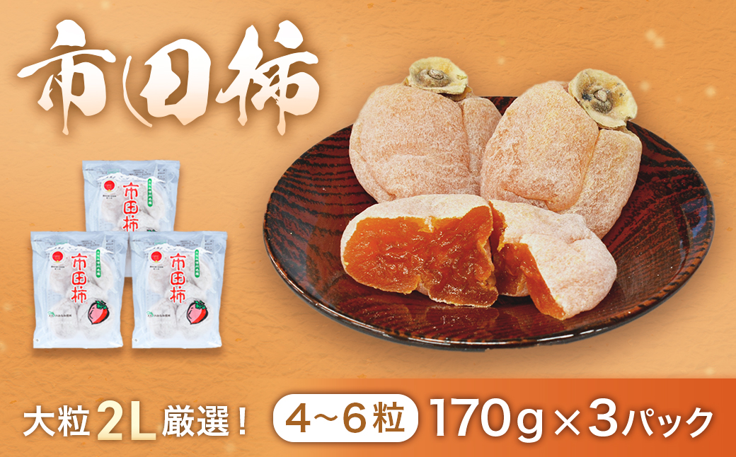 A-113 市田柿 (大粒2Lのみ厳選) 約170g×3パック　※2026年1月～発送予定※