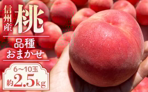 A-116【2026年発送先行予約】※品種おまかせ※　初夏の桃　約2.5kg【6～10玉】　農家直送｜もも｜桃