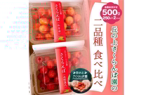 A-117【2025年6月から発送予定】さくらんぼ食べ比べセット 500g＜さくらんぼ2種入り　各250g＞　先行予約　さくらんぼ