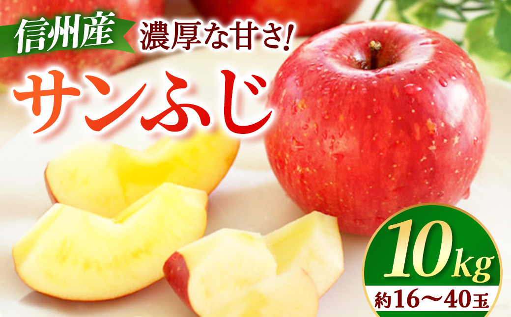 【先行予約】りんご　サンふじ　約10kg　＜2026年11月下旬～12月中旬発送予定＞　リンゴ｜長野県産｜果物｜くだもの