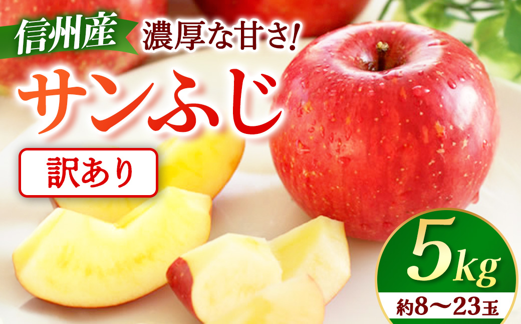 【先行予約】※訳あり※ りんご　サンふじ　約5kg　＜2027年1月上旬～2月上旬発送予定＞　リンゴ｜長野県産｜果物｜くだもの