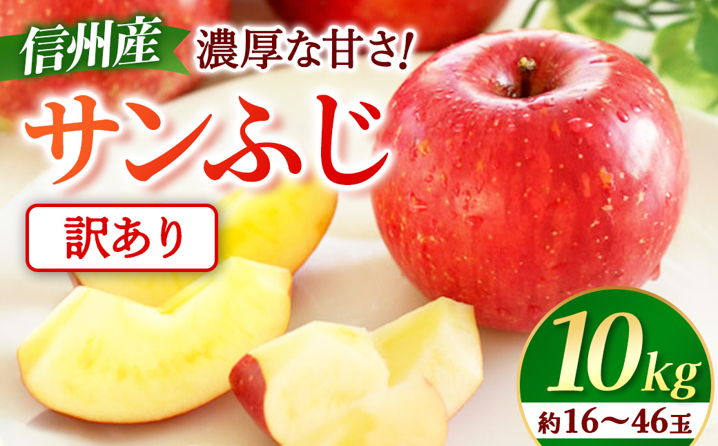 【先行予約】※訳あり※ りんご　サンふじ　約10kg　＜2027年1月上旬～2月上旬発送予定＞　リンゴ｜長野県産｜果物｜くだもの