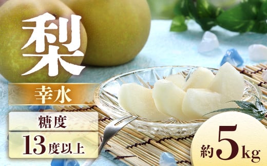 A-2 梨　幸水 約5kg【8～16玉】※2026年発送　先行予約分※