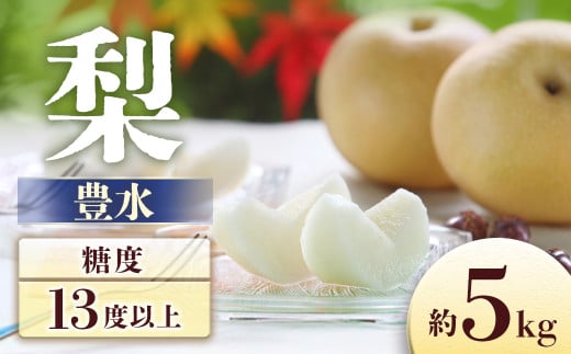 A-3 梨　豊水 約5kg【8～16玉】※2026年発送　先行予約分※