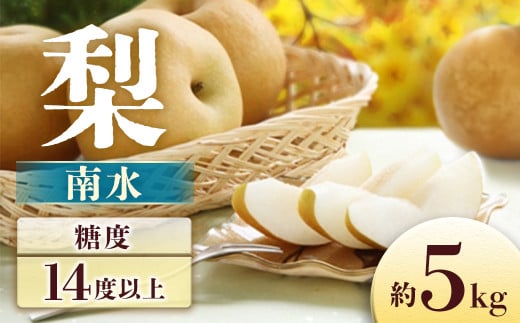 A-30 梨　南水　約5㎏【8～16玉】※2026年発送　先行予約分※