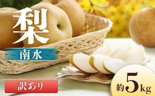 A-31 梨　南水※訳あり品※【8～16玉】約5kg　※2026年発送　先行予約分※