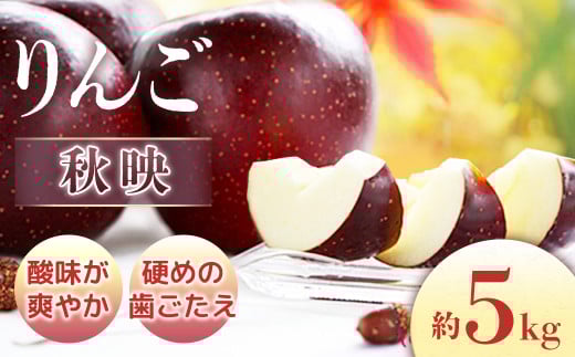 【2026年発送先行予約】りんご　秋映　約5kg（10～20玉入り）※2026年9月下旬～10月上旬発送予定※