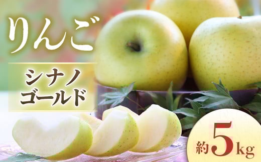 【2026年発送先行予約】りんご シナノゴールド 約5kg（10～20玉入り）※2026年10月中旬～11月上旬発送予定※