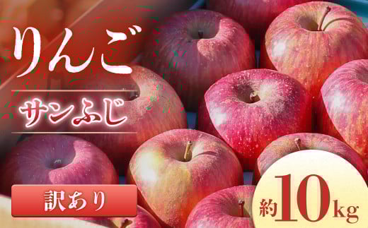 A-36 りんご サンふじ※訳あり品※ 約10kg【20～40玉】