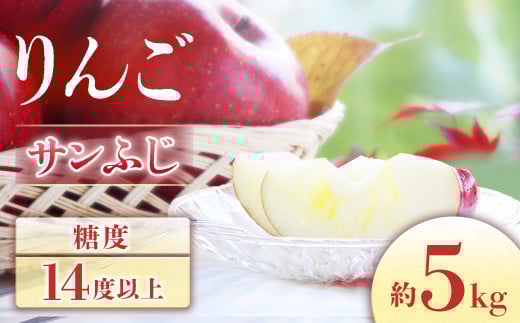 A-4 りんご　サンふじ【10～20玉】