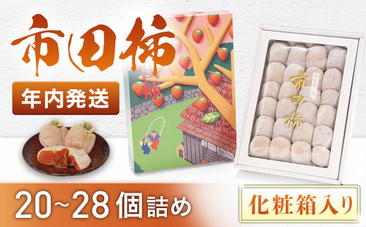 A-48 市田柿（化粧箱）【20～28個】※2025年12月発送※
