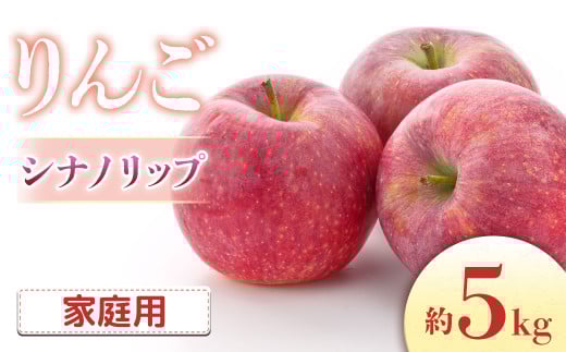 【2026年発送先行予約】りんご シナノリップ 約5kg（16～20玉入り）※ご家庭用※ ※2026年8月中旬～