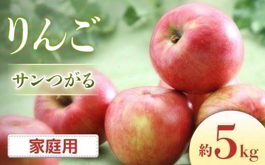 【2026年発送先行予約】りんご サンつがる 約5kg（16～20玉入り）※ご家庭用※ ※2026年8月下旬～9月上旬発送予定※