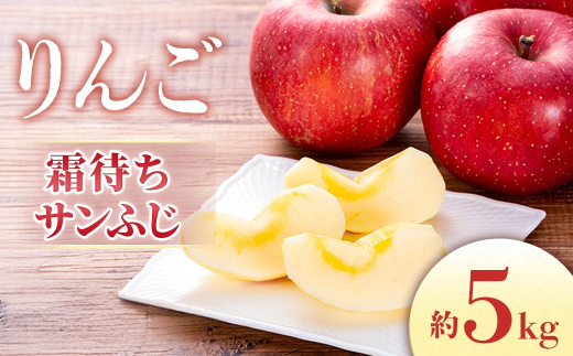 【2026年2月発送】りんご 霜待ちふじ 約5kg（10～20玉入り）