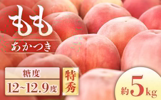 【2026年発送先行予約】桃　あかつき＜秀品＞ 約5kg【10～18玉】※2026年7月下旬～8月初旬発送予定※