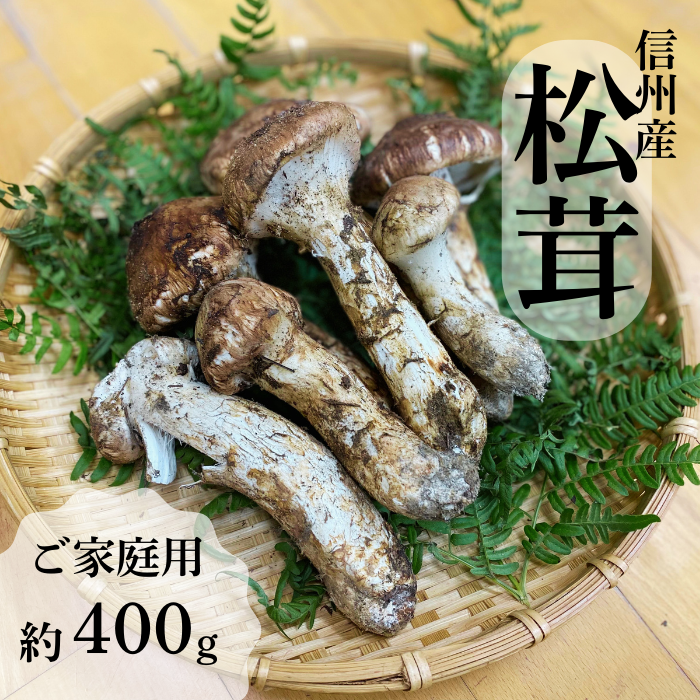 G-3 信州産「松茸」400g ご家庭用 訳あり品 ※2024年発送　なくなり次第終了※