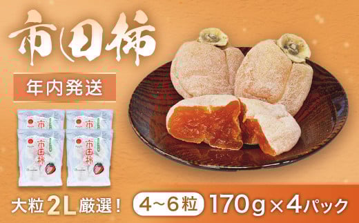 I-10 市田柿 (大粒2Lのみ厳選) 約170g×4パック ※2025年12月発送予定※