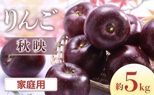 【2026年発送先行予約】りんご 秋映 約5kg（10～20玉入り）※家庭用※ ※2026年9月下旬～10月上旬発送予定※