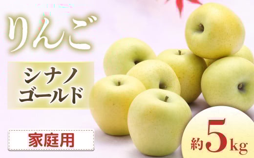 【2026年発送先行予約】りんご シナノゴールド 約5kg（10～20玉入り）※ご家庭用※ ※2026年10月中旬～11月上旬発送予定※