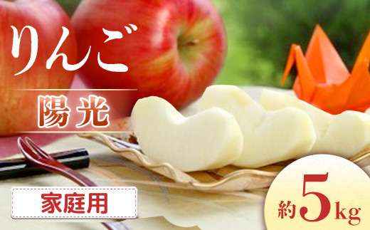 【2026年発送先行予約】りんご 陽光 約5㎏（10～18玉入り）※ご家庭用※ ※2026年10月発送予定※
