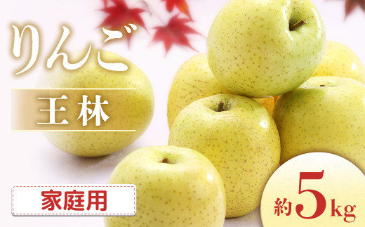 【2026年発送先行予約】りんご 王林 約5kg（10～20玉入り）※ご家庭用※