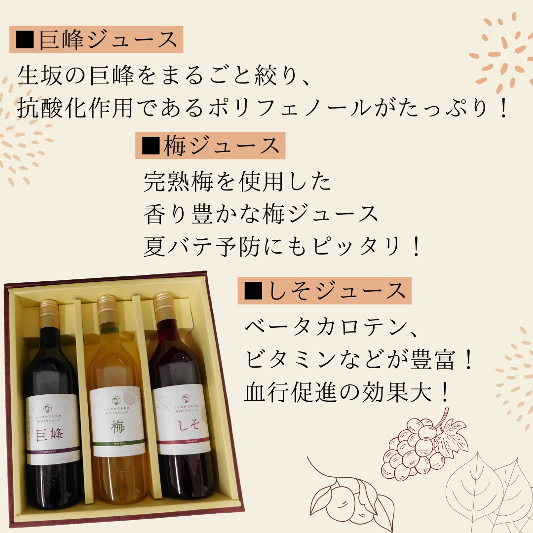 生坂村産　手作りジュースセット