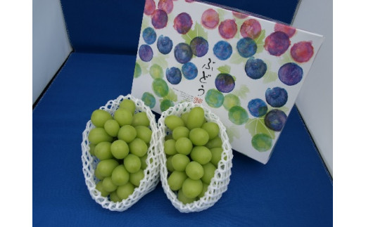 【2026年先行予約】村松農園 シャインマスカット2~3房 約1kg 果物 ぶどう フルーツ