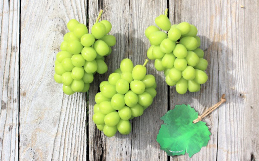 【2026年産】 訳ありシャインマスカット 約3.2kg（6~11房） 果物 ぶどう フルーツ 果物類