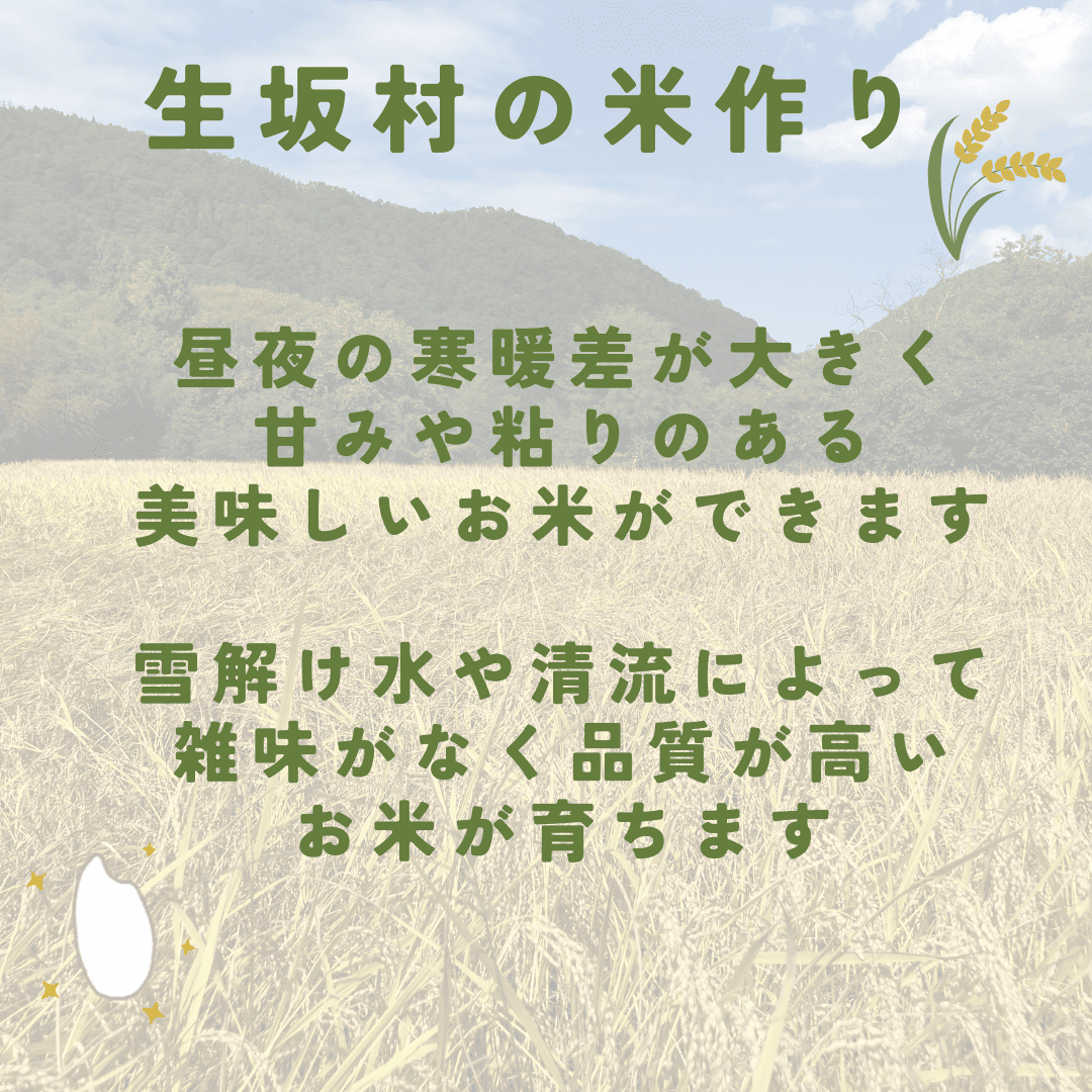 いくさかのお米 5kg 精米 | コメ 白米 長野県 生坂村