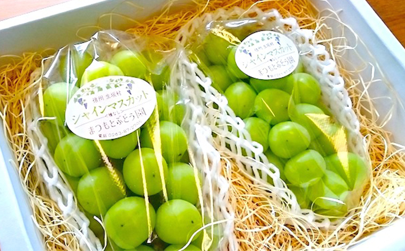 【2026年先行予約】特選シャインマスカット約1.2kg 2房