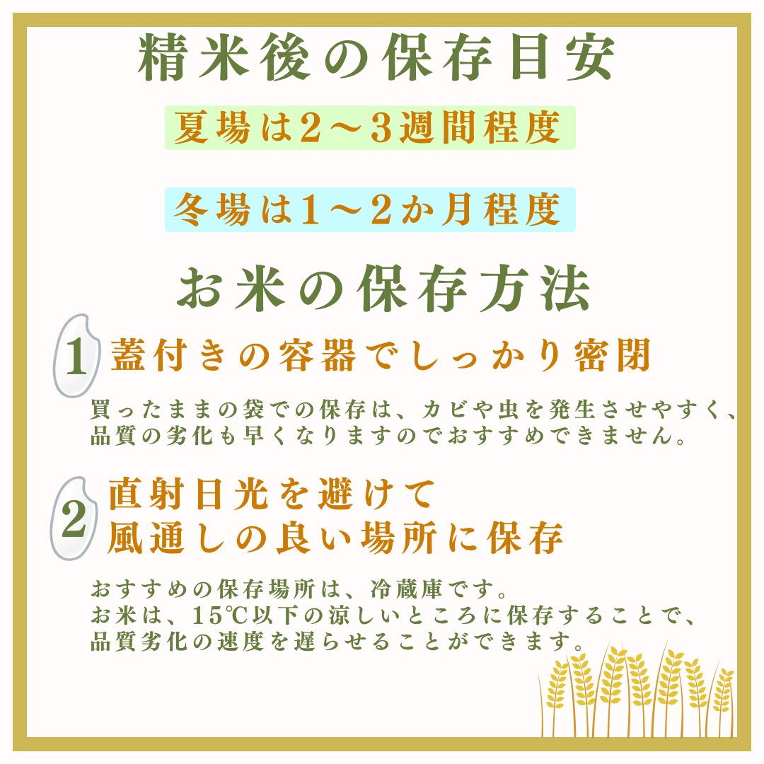 白米 生坂村産コシヒカリ 無洗米 5kg 長野県産 | コメ 白米 長野県 生坂村