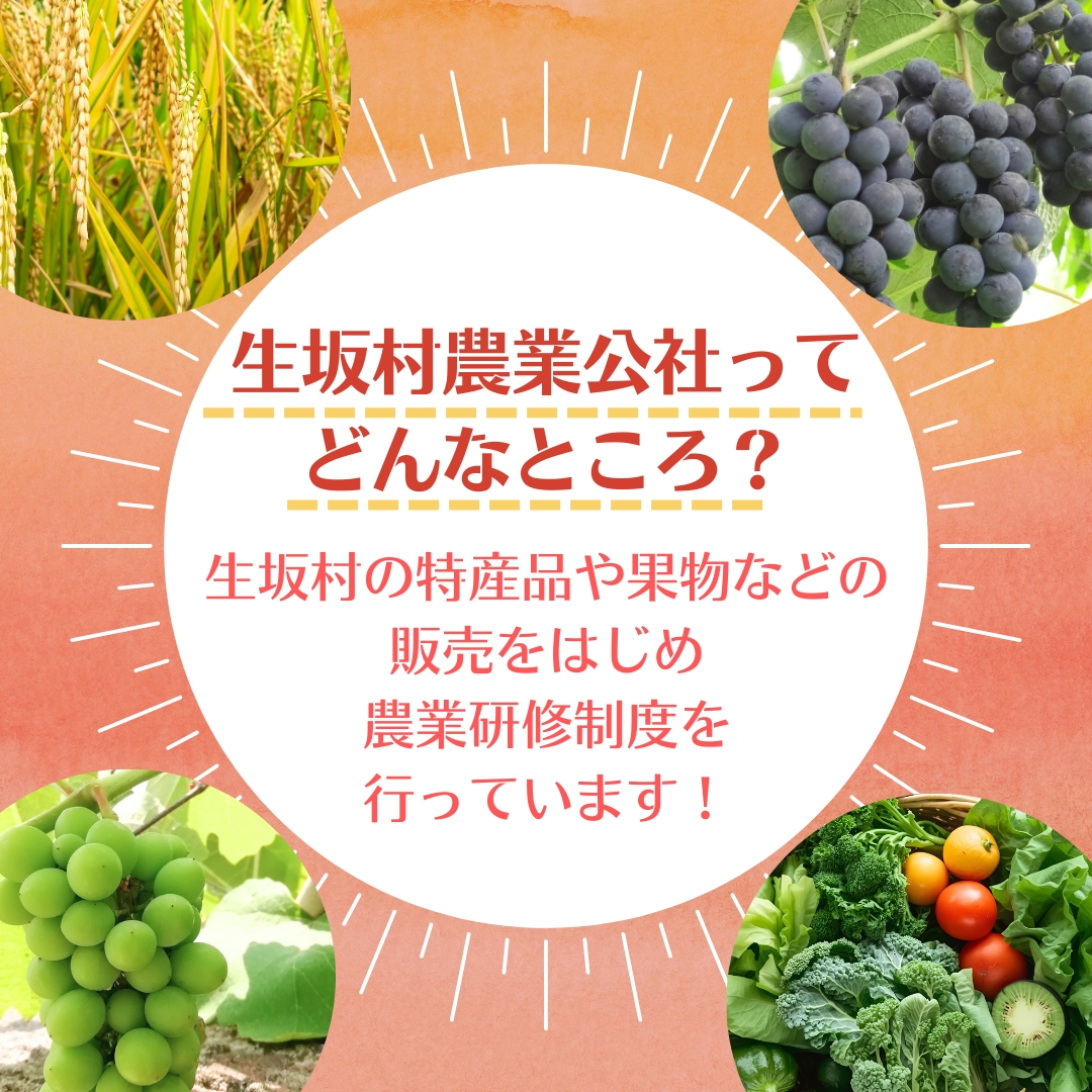 生坂村産　手作りジュースセット