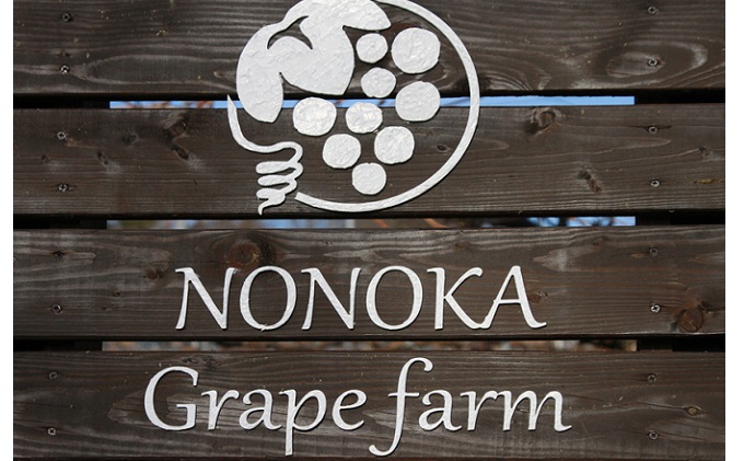 【2026年発送 先行予約】 訳あり シャインマスカット約1.2kg（バラ房） 産地直送  長野 おすすめ フルーツ ぶどう 果物 果物類