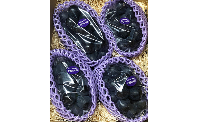 【2026年先行予約】厳選 長野県産 ナガノパープル たっぷり3~4房 約2kg 果物 ぶどう フルーツ ブドウ