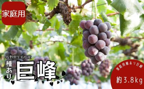 【2026年発送 先行予約】 家庭用 種あり巨峰3.8kg (9~13房) 果物 ぶどう フルーツ セット 食べ比べ デザート 食後 産地直送 果物詰め合わせ