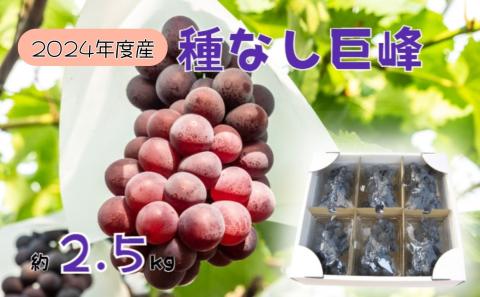 【2026年先行予約】訳あり 種なし巨峰バラ房・バラ粒パック約2.5kg 果物類 ぶどう フルーツ