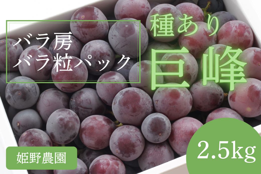 【2026年先行予約】訳あり 種あり巨峰バラ房・バラ粒パック約2.5kg
