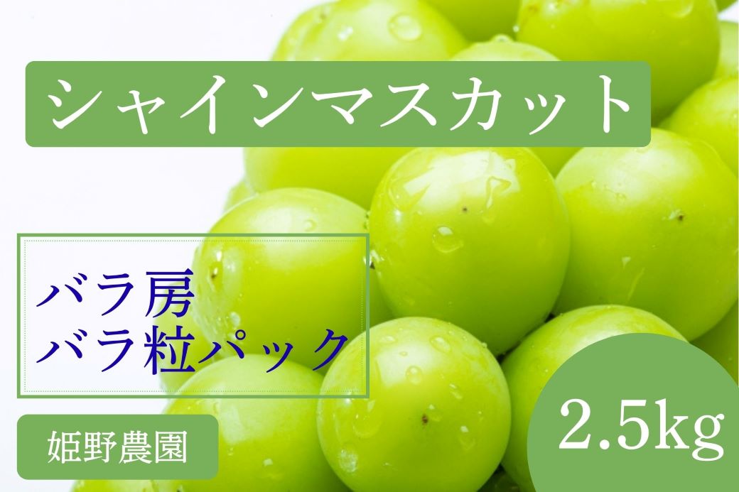 【2026年先行予約】訳あり シャインマスカット バラ房・バラ粒パック約2.5kg 果物類 ぶどう フルーツ 長野県産