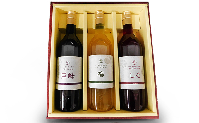 生坂村産手作りジュースセット