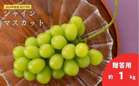 【2026年発送 先行予約】 贈答用 シャインマスカット約1kg（2房） 果物類 ぶどう フルーツ