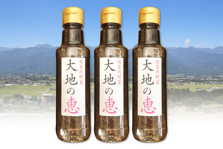 にんにくドレッシング 「大地の恵」 甘口 200ml×3本 [矢口農園 長野県 池田町 48110485]