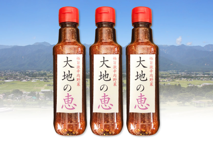 にんにくドレッシング 「大地の恵」 激辛200ml×3本 [矢口農園 長野県 池田町 48110489]