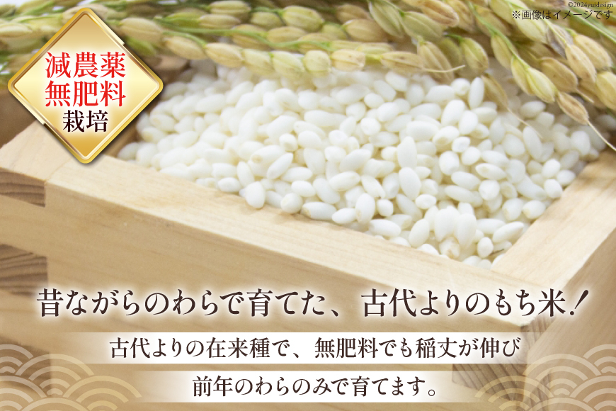 もち米 金の鈴米 平安 白毛もち米 精米 3kg [池田町観光協会 長野県 池田町 48110726] 白毛餅米 古代米 餅米