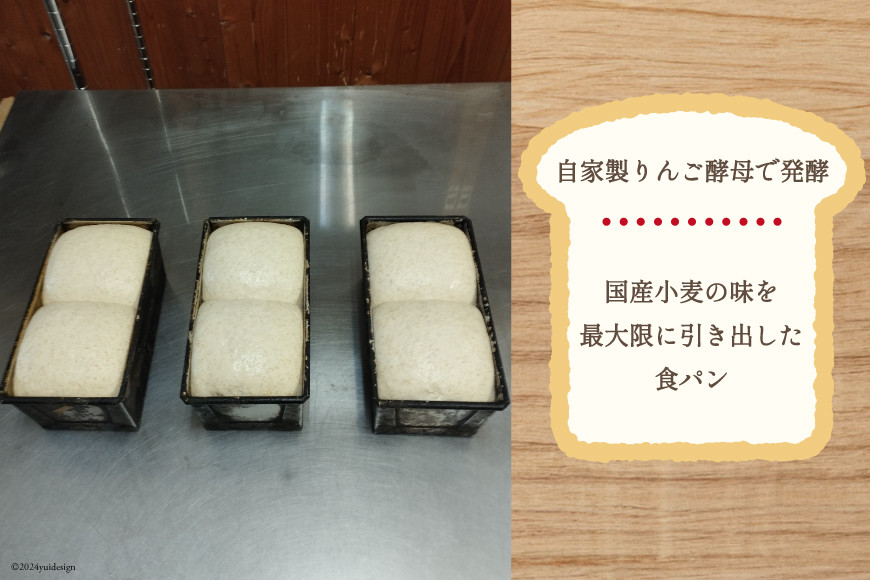 【パリもち！】窯焼き 石臼挽き 全粒粉食パン 1本 8枚切 [しぜん酵母と石窯ぱん　bungaーぶんがー 長野県 池田町 48110768] パン 長期保存 加熱調理 便利食品 朝食 サンドイッチ