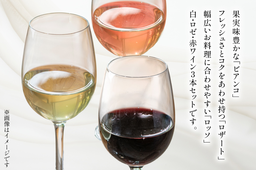 ワイン ポッジョ ヴェルデ 白・ロゼ・赤ワイン3本セット 「フェリーチェ　ビアンコ／ロザート／ロッソ」各750ml　【長野県 池田町】 [Poggio Verde 長野県 池田町 48110836] ワイン 赤ワイン 白ワイン ロゼ ロゼワイン wine お酒 酒 飲み比べ 飲み比べセット セット